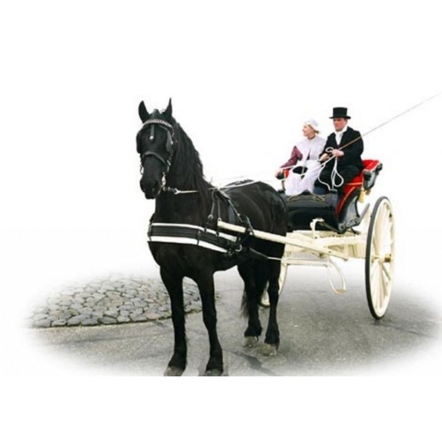 Harnais frison en simple