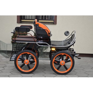 Voiture Training attelage dominiak