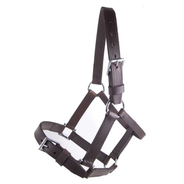 Licol en cuir pour chevaux