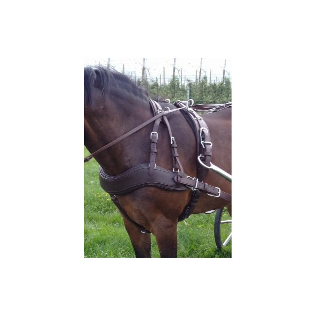 bricole ideal equestrian freestyl
