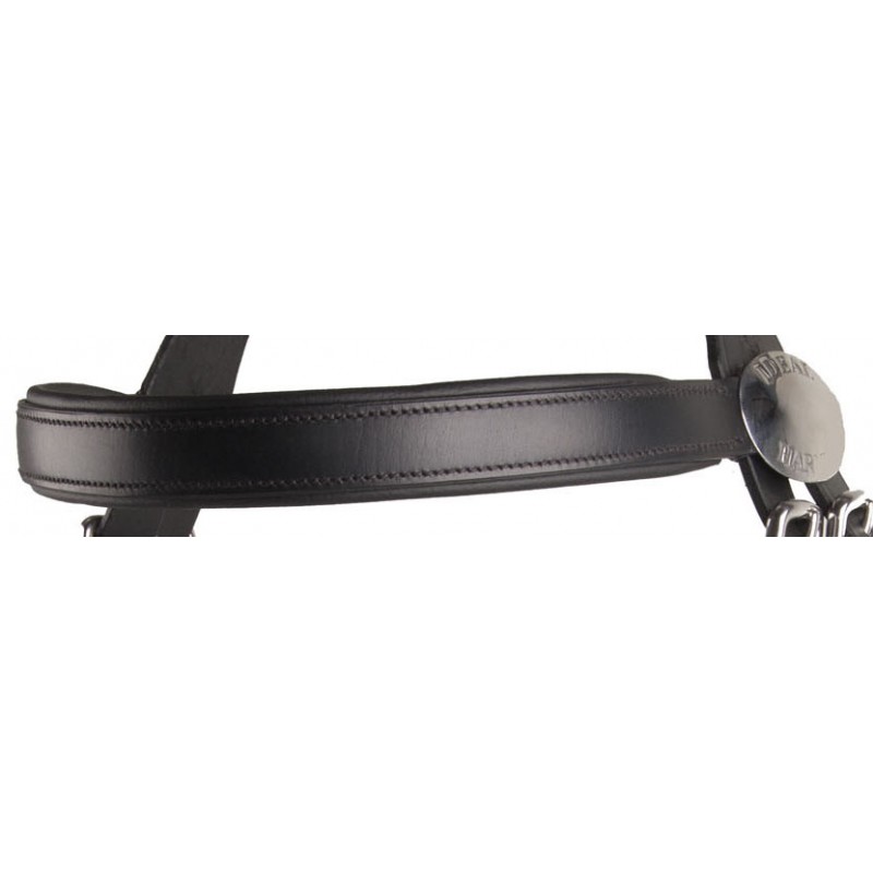 Frontal en cuir noir Leather Tech.