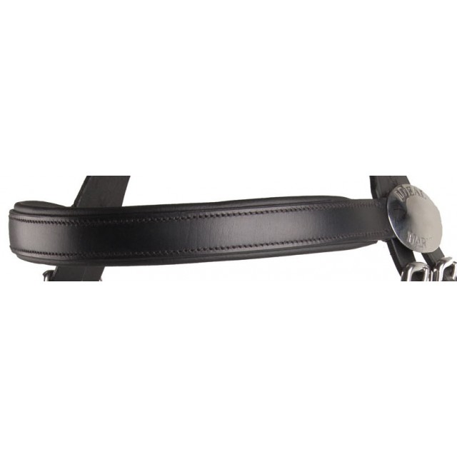 Frontal en cuir noir Leather Tech.