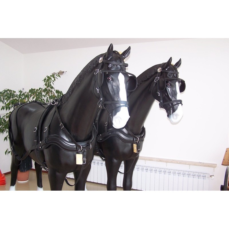 Harnais Arden en paire bricole anatomique