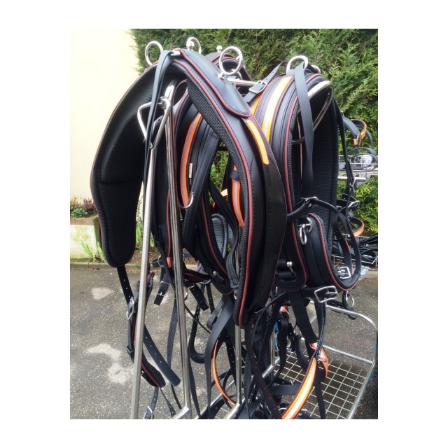 Harnais en paire avec bandes fluo Arden