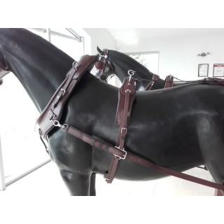 Harnais collier travail Lux Arden en paire biothane