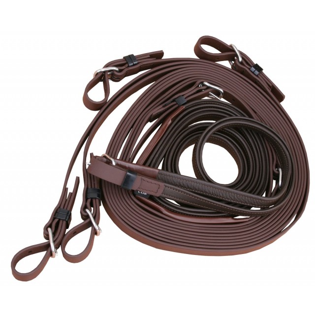 Guide Arden en paire biothane et cuir.