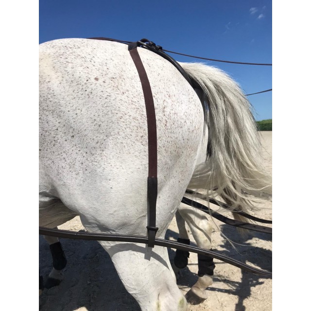 Porte traits élastique Idéal Equestrian