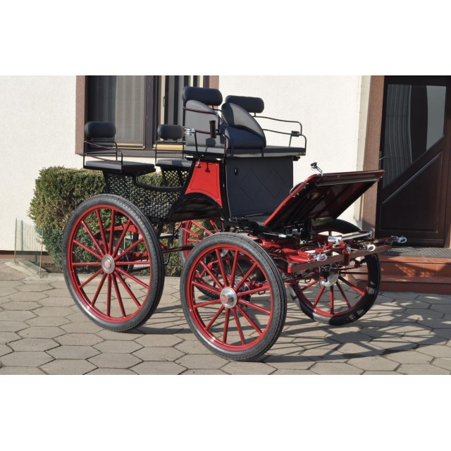 Sport Break 4 chevaux de Dominiak