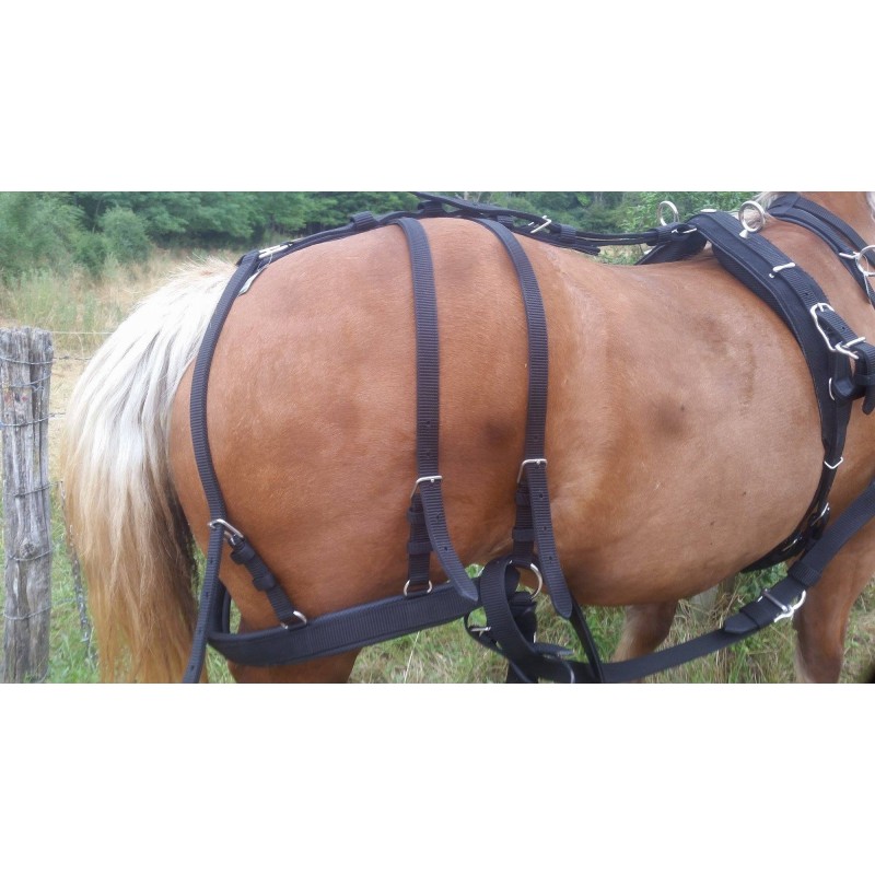 Harnais Synthétique Pour Poney - Conduite Et Chariot - Taille Poney - Noir