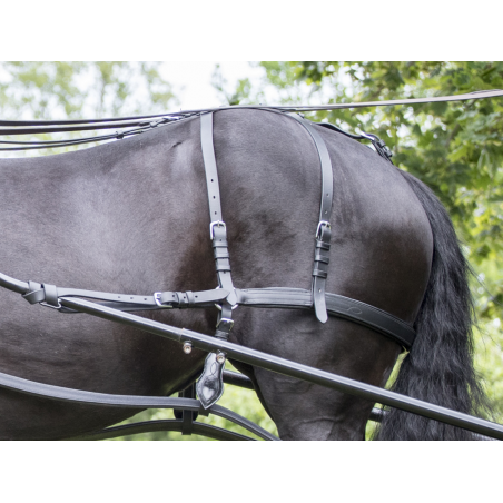 Reculement complet attelage en simple ideal equestrian