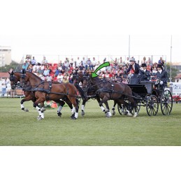 Clé de panurge Ideal Equestrian
