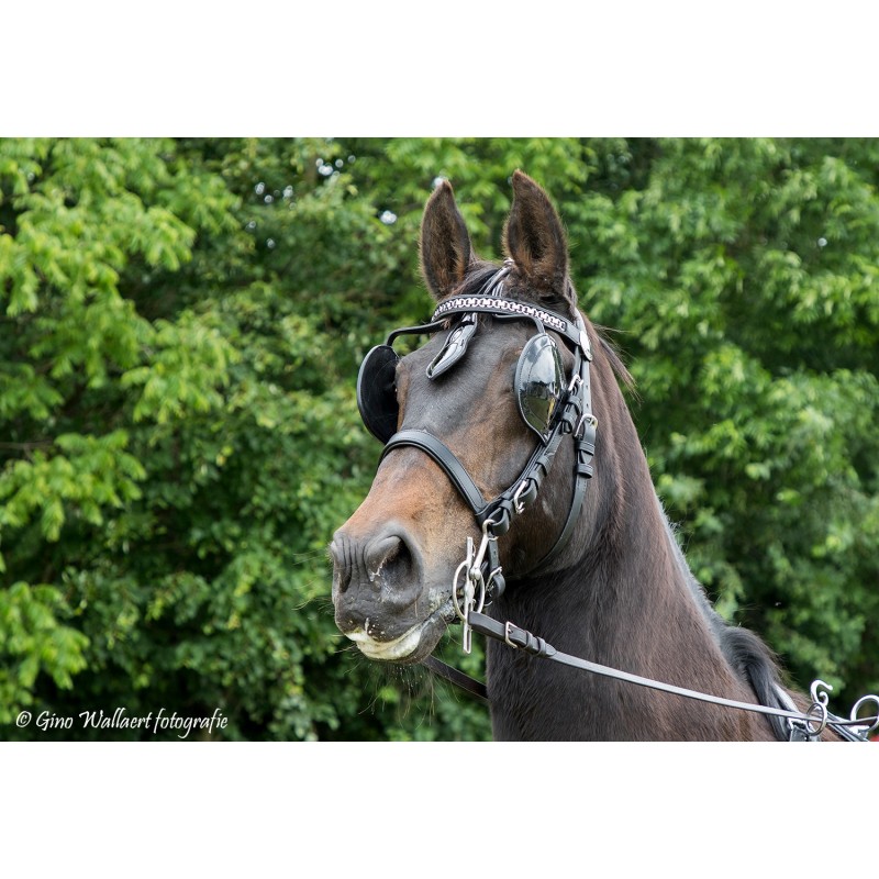 Bride en cuir vernis Lux Idéal Equestrian