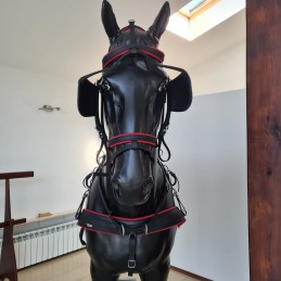 Harnais Arden attelage en simple