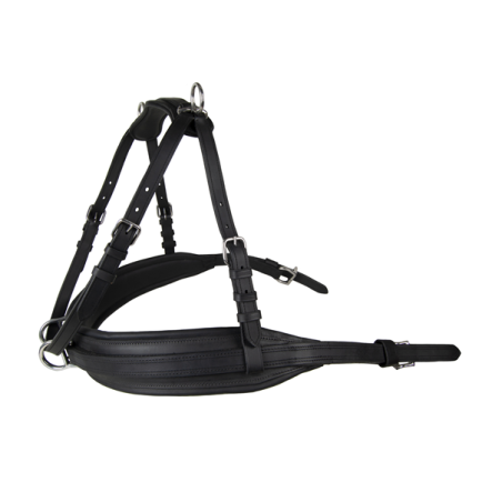 Bricole Leather tech Ideal equestrian