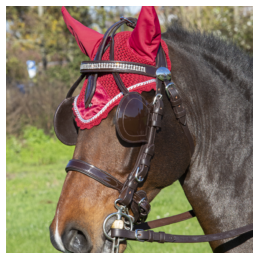 Frontal avec chaînette pour bride chevaux