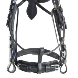 Alliance de bride en cuir ideal equestrian