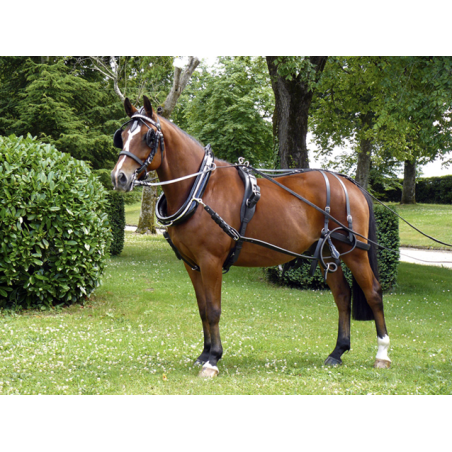 Harnais colliers Anglais ideal equestrian