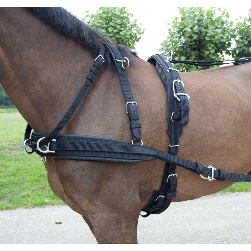Bricole Web-Tech Idéal Equestrian