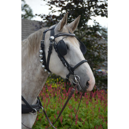 Grelottière pour chevaux avec grelots