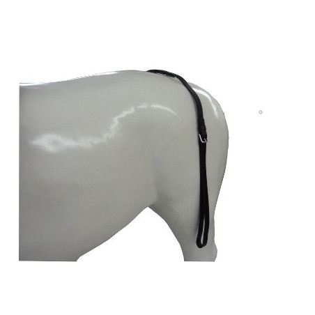 Porte trait en cuir avec une boucle