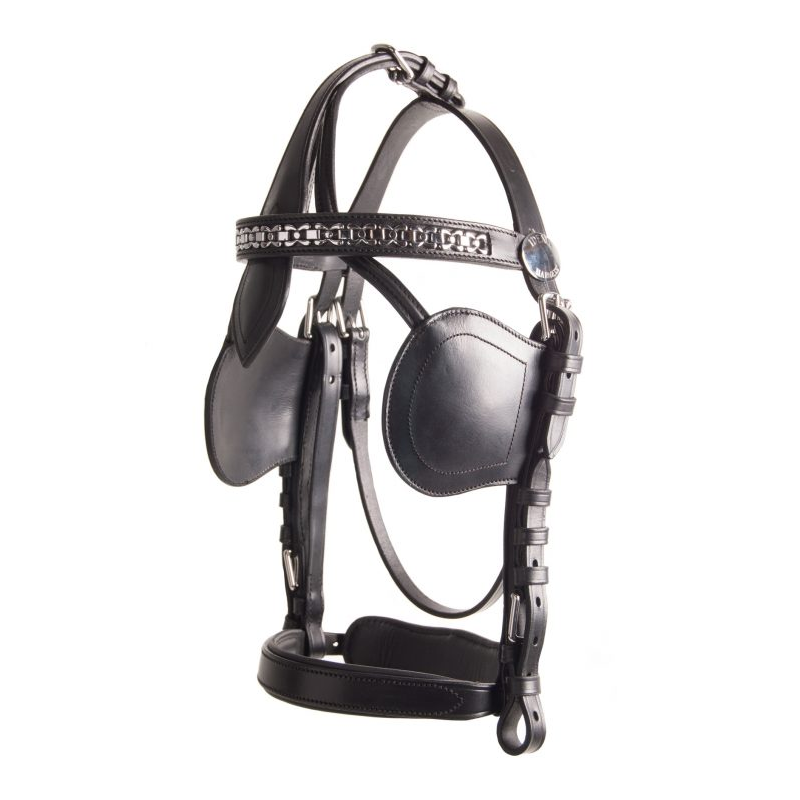 Bride en cuir noir