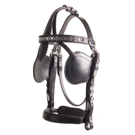 Bride en cuir noir