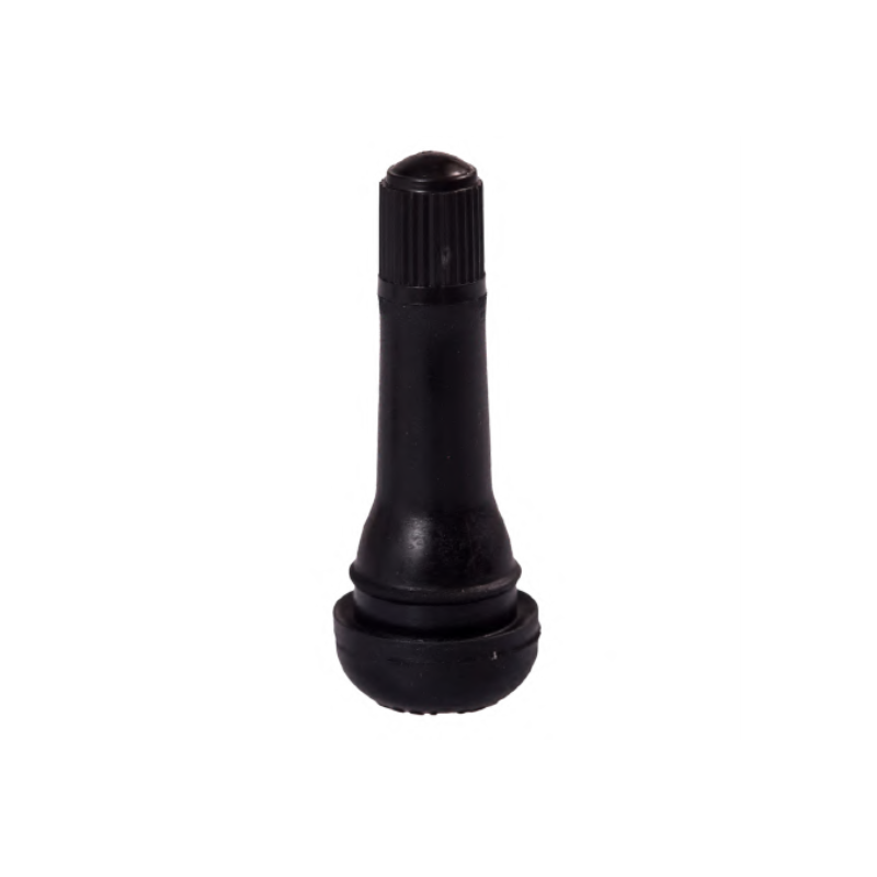 Valve TR14 pour suspension à air