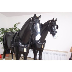 Harnais Arden en paire biopro