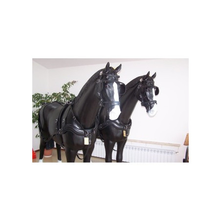 Harnais Arden en paire biopro