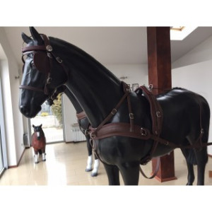 Harnais Arden en paire biopro