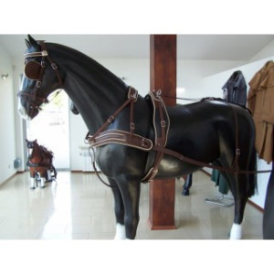 Harnais Arden en paire biopro