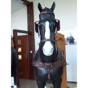 Harnais Arden en paire biopro