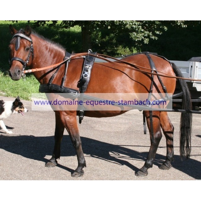 Harnais "GP" un cheval bricole anatomique