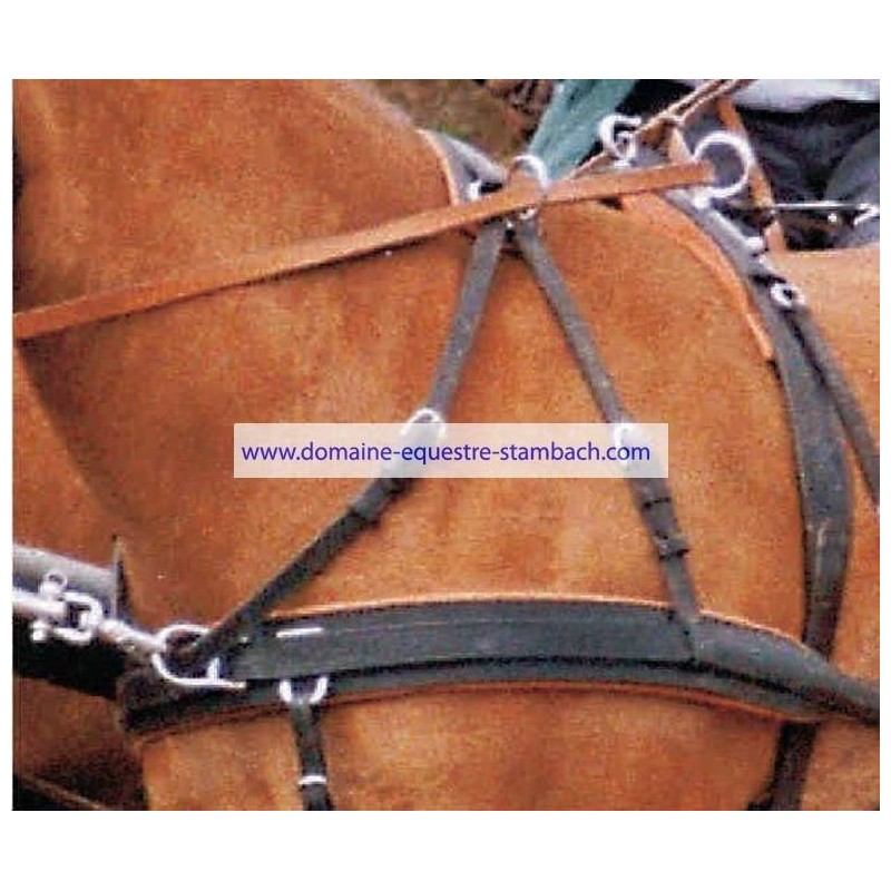 Sur-cou attelage en paire