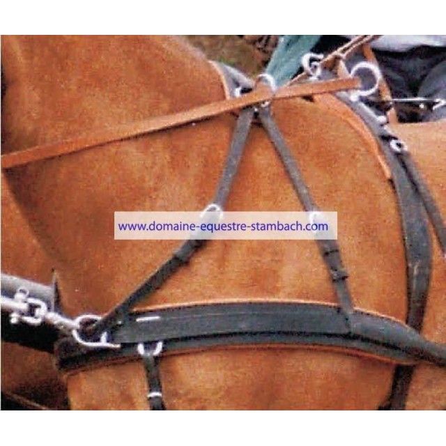 Sur-cou attelage en paire