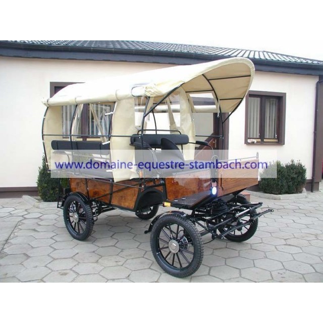 wagonnette pour fauteuil handicapé