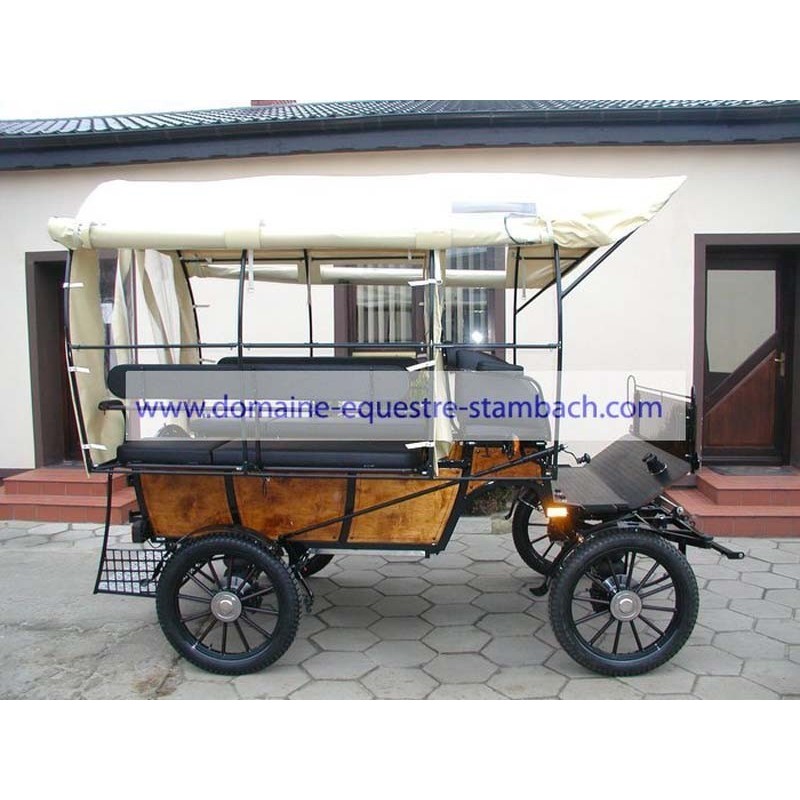 wagonnette pour fauteuil handicapé