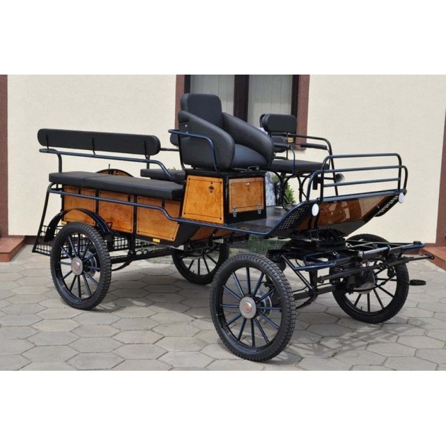 véhicule attelage cheval pour handicapés