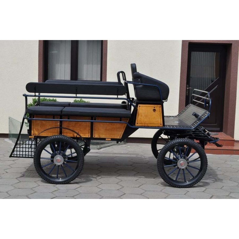 véhicule attelage cheval pour handicapés