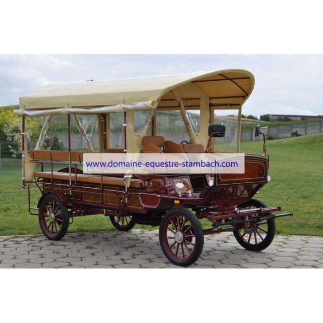 wagonnette pour fauteuil handicapé