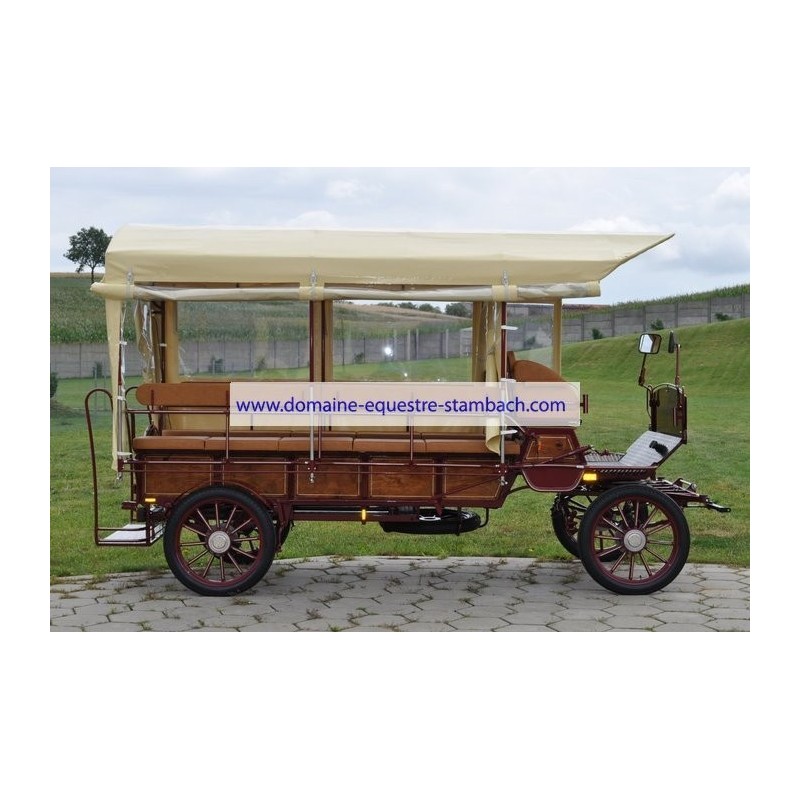 wagonnette pour fauteuil handicapé