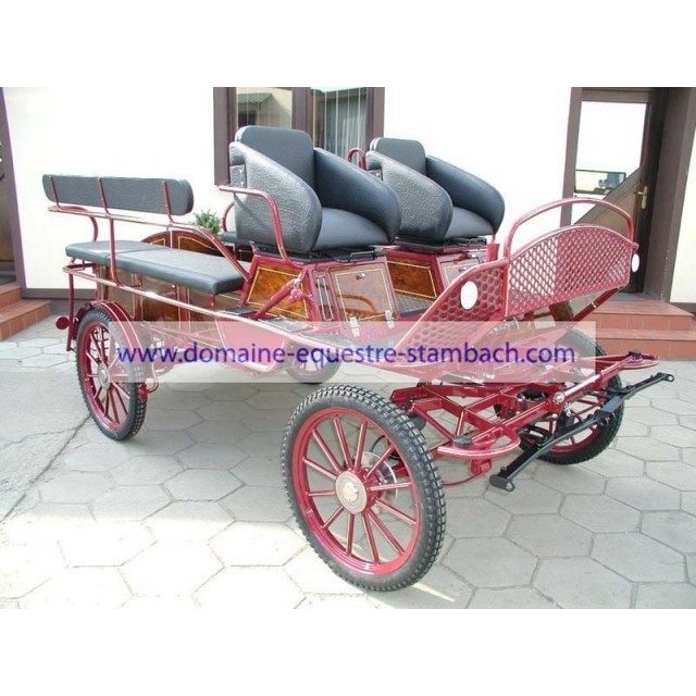 voiture hippomobile école handicapé