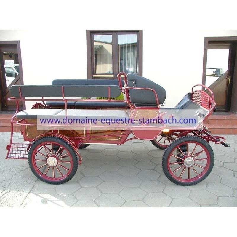 voiture hippomobile école handicapé