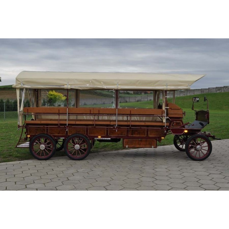 Wagonnette attelage pour personne handicapé