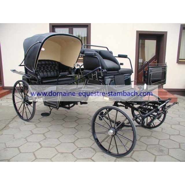 voiture type vis à vis