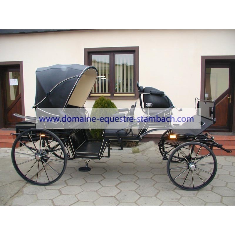 voiture type vis à vis