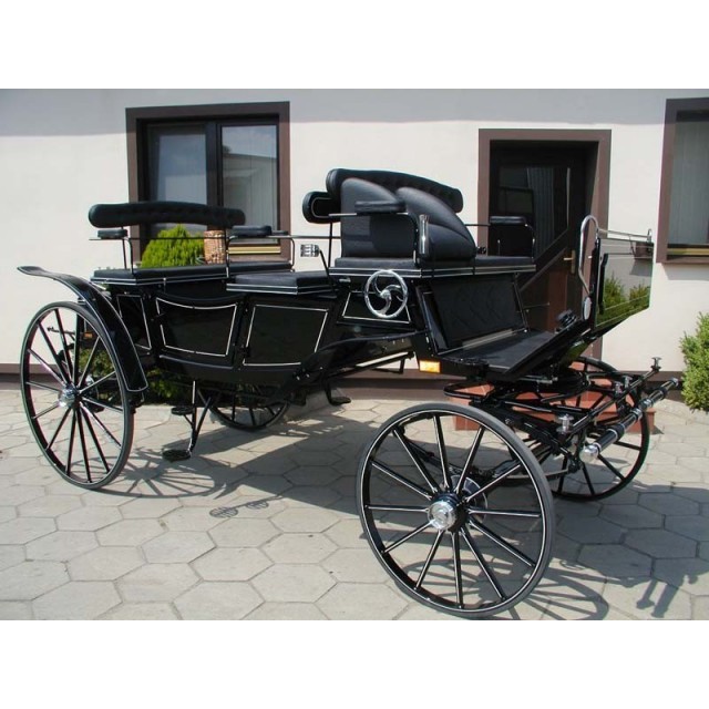 véhicule hippomobile vis à vis