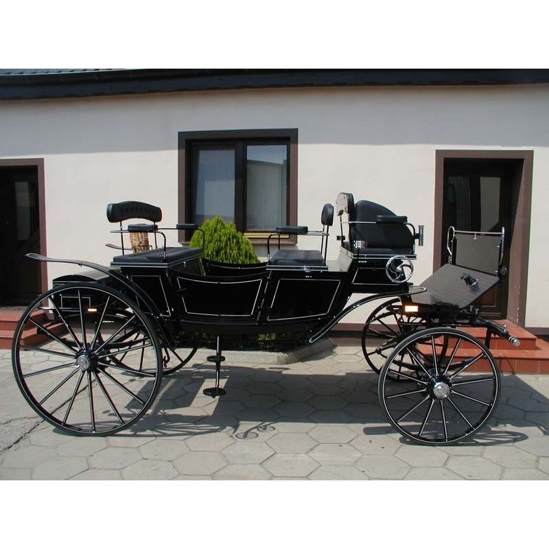 véhicule hippomobile vis à vis
