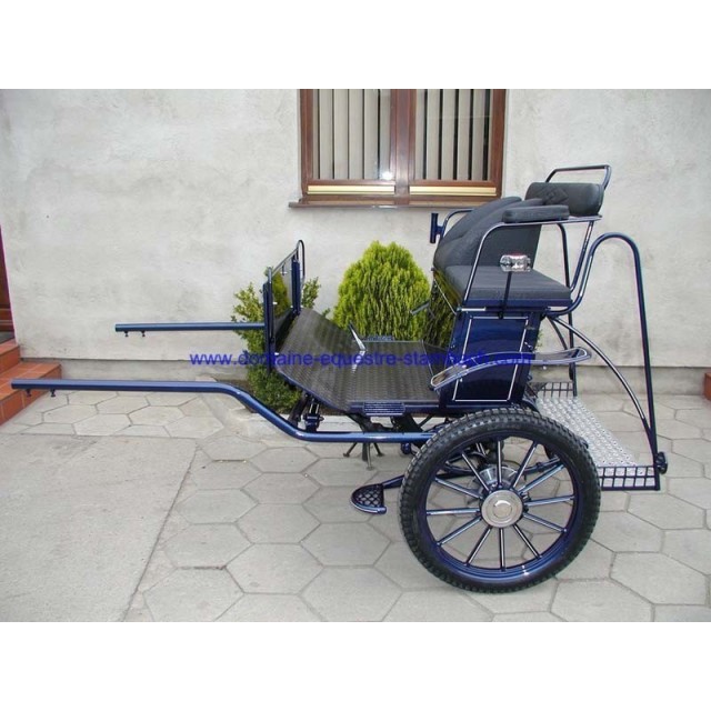 gig ou sulky hippomobile attelage poney anes