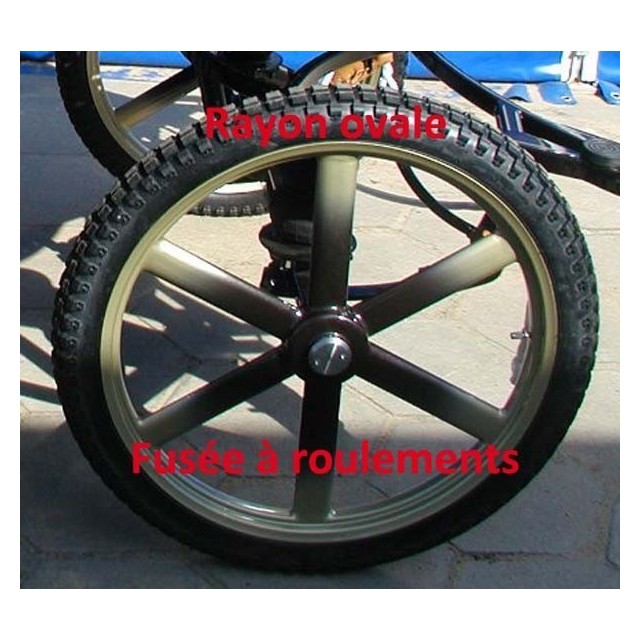 Roue hippomobile